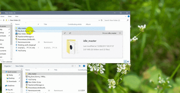 QuickLook Demo